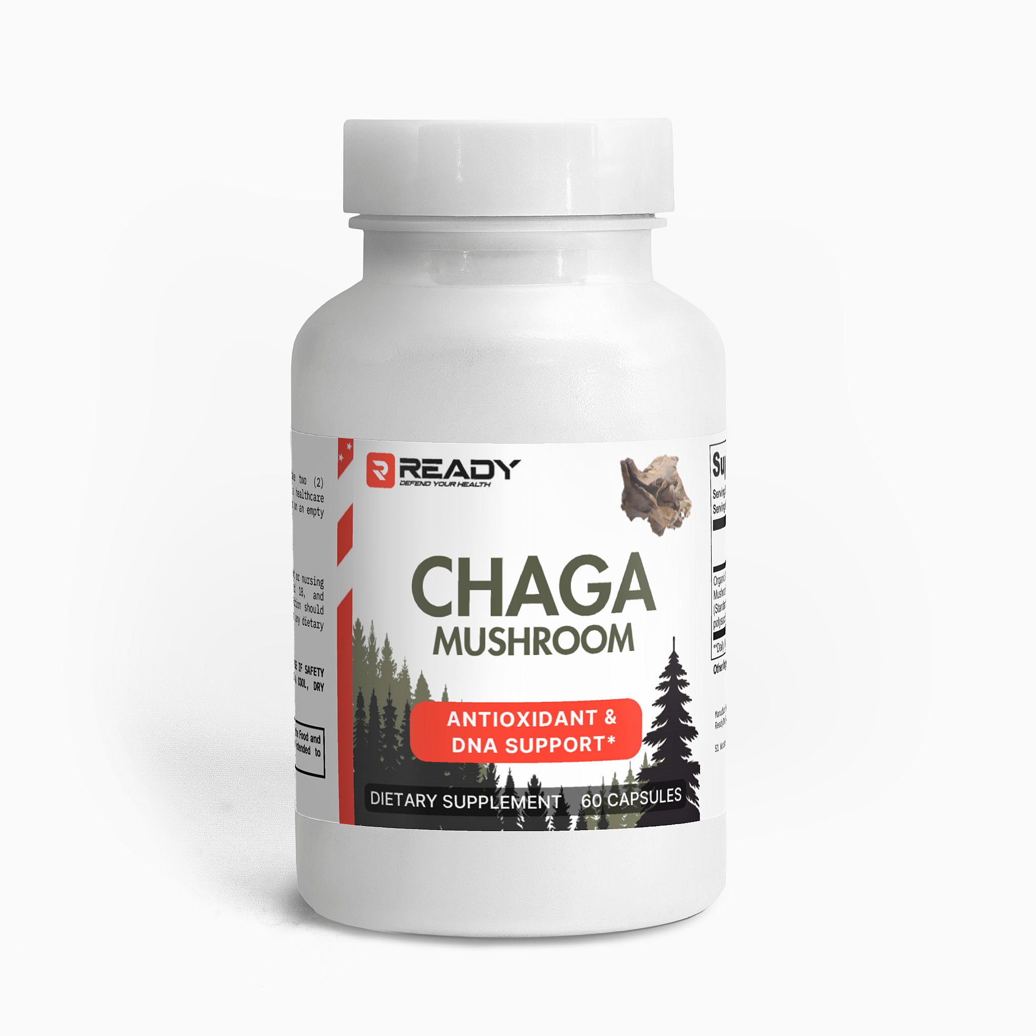 Chaga Mushroom
