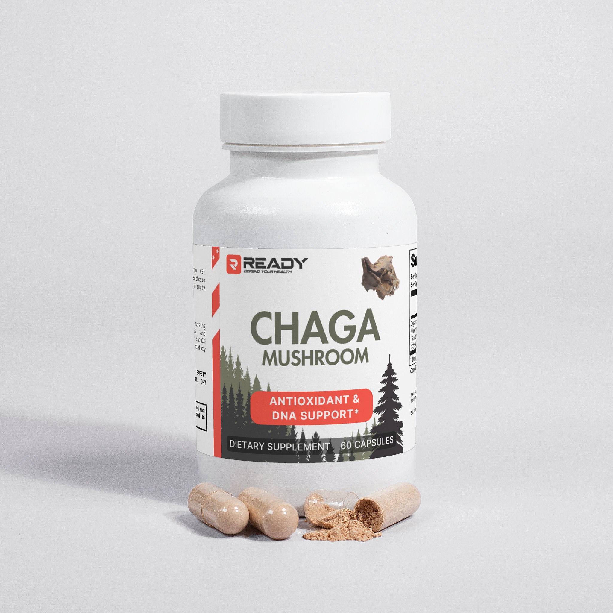 Chaga Mushroom